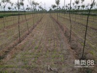 【青岛财富天下面向全国招代理商,齐鲁116号会员】_