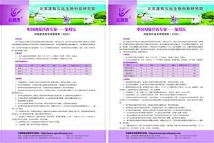 泰山肉兔多少钱 特产网