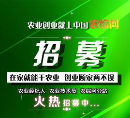 打造农业圈很重要,看看这些农人是怎样赚钱的