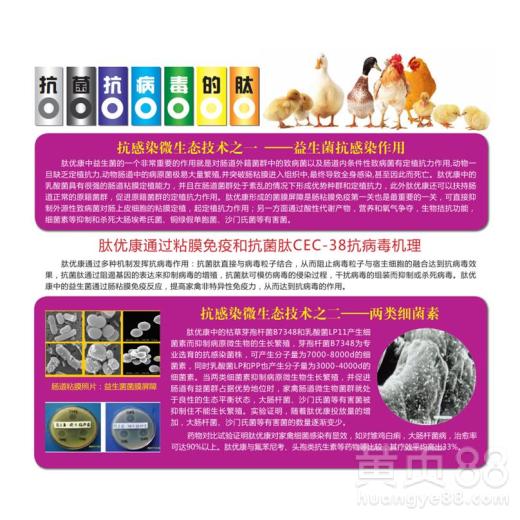【青岛缓解家禽腹泻增加产量肽优康经销商 肽优康】- 